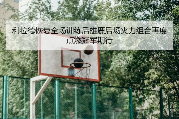 利拉德恢复全场训练后雄鹿后场火力组合再度点燃冠军期待